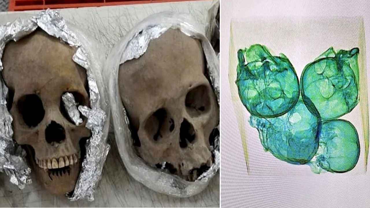 SKULLS