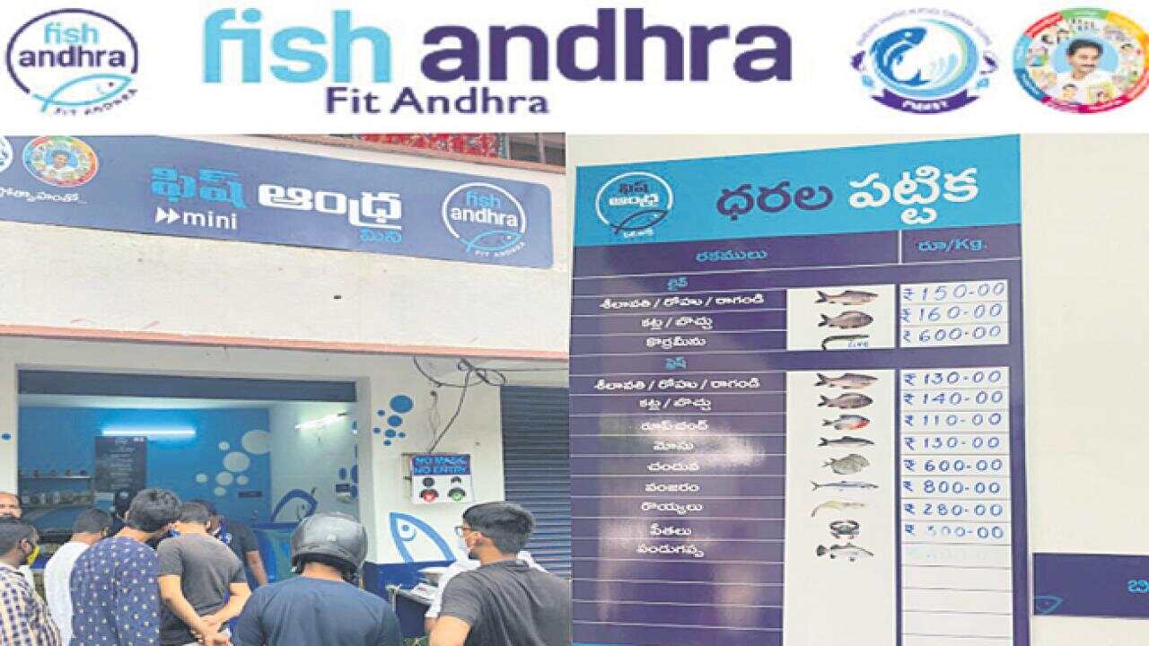 Fish Andhra Imresizer