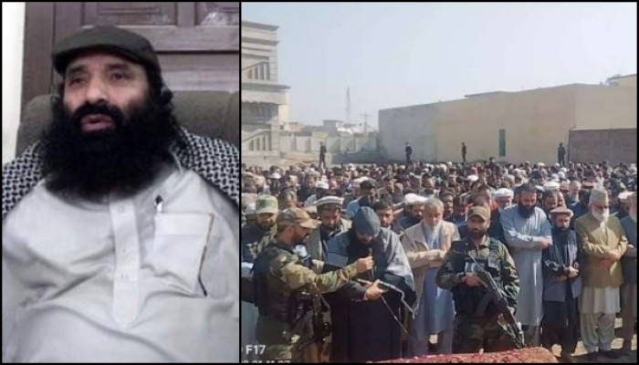 8a04da17 Syed Salahuddin