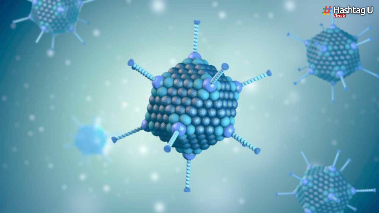 Norovirus