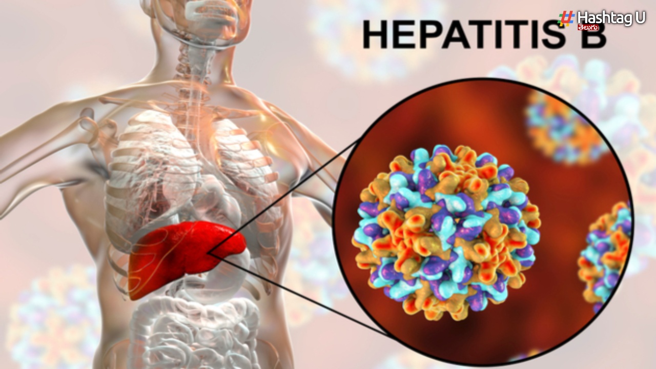 Can Hepatitis B Also Be Caused By Sex 