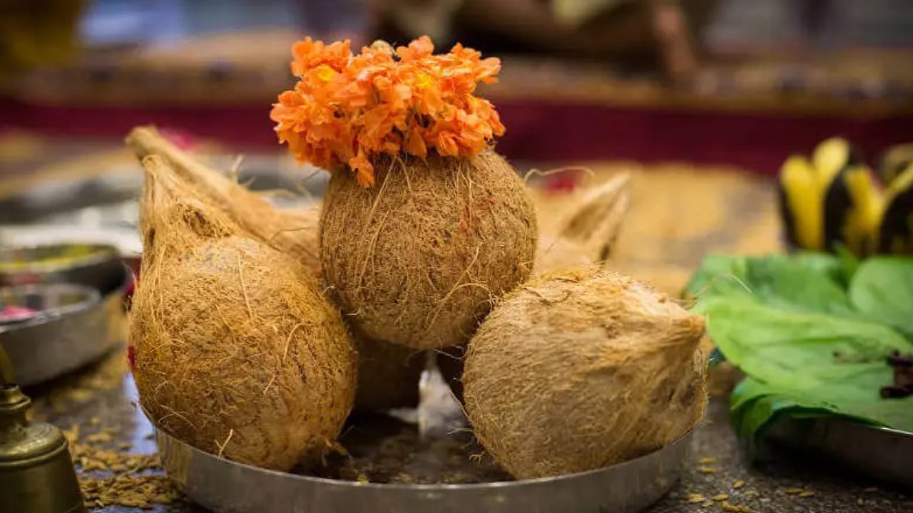 Coconut