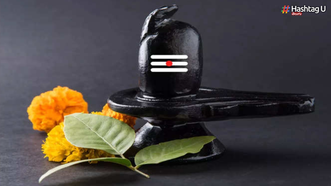 Fasting On Shivaratri These Can Be Eaten On Fasting.