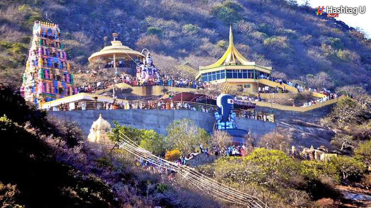 Maha Shivaratri, The Specialty Of Kotappa Konda