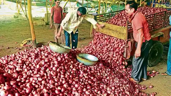 Onion Battle