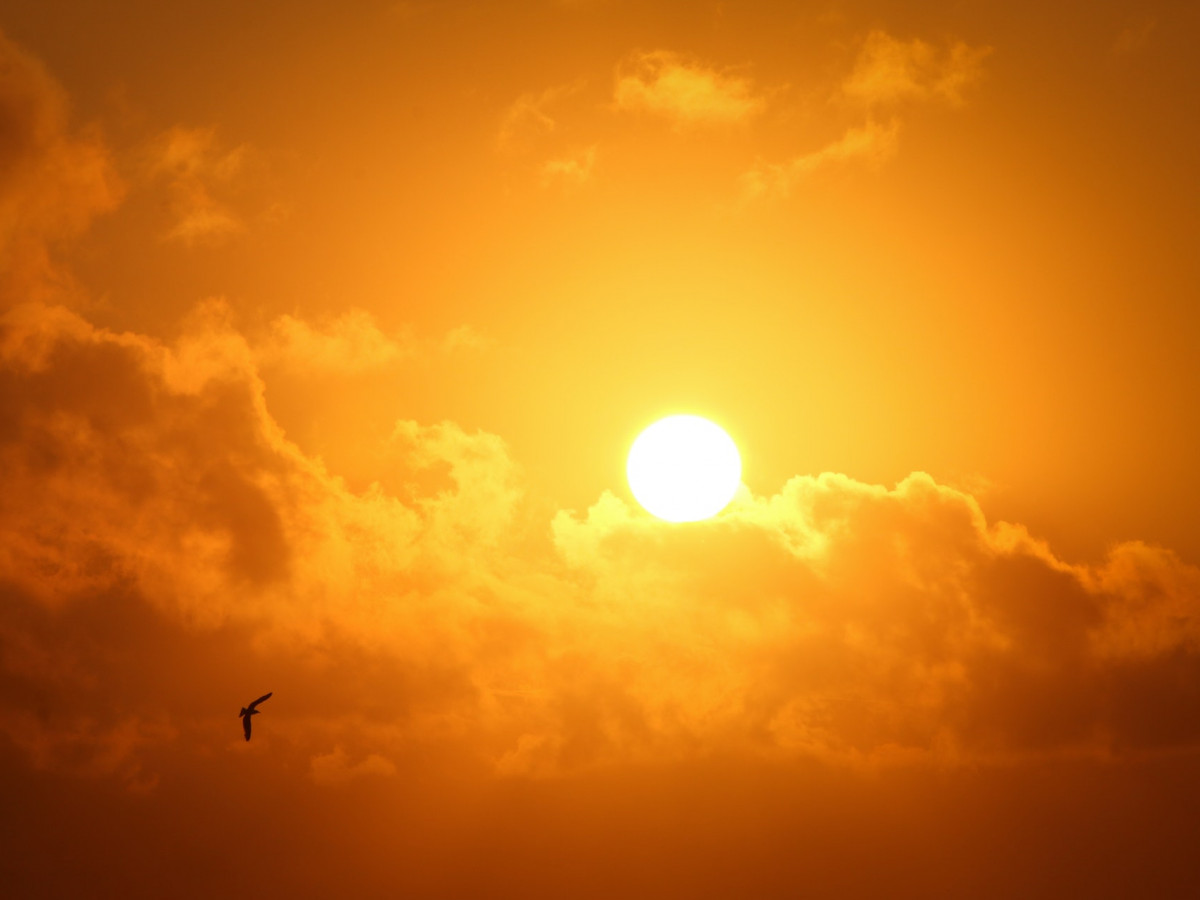 Sun
