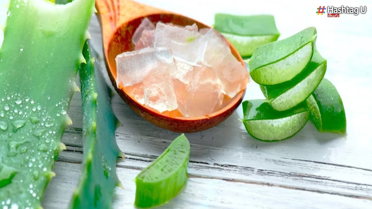 The Secret Hidden In Aloe Vera