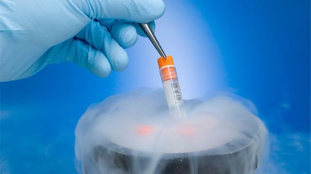 Cryopreservation Applications And Advances 349021 640x360