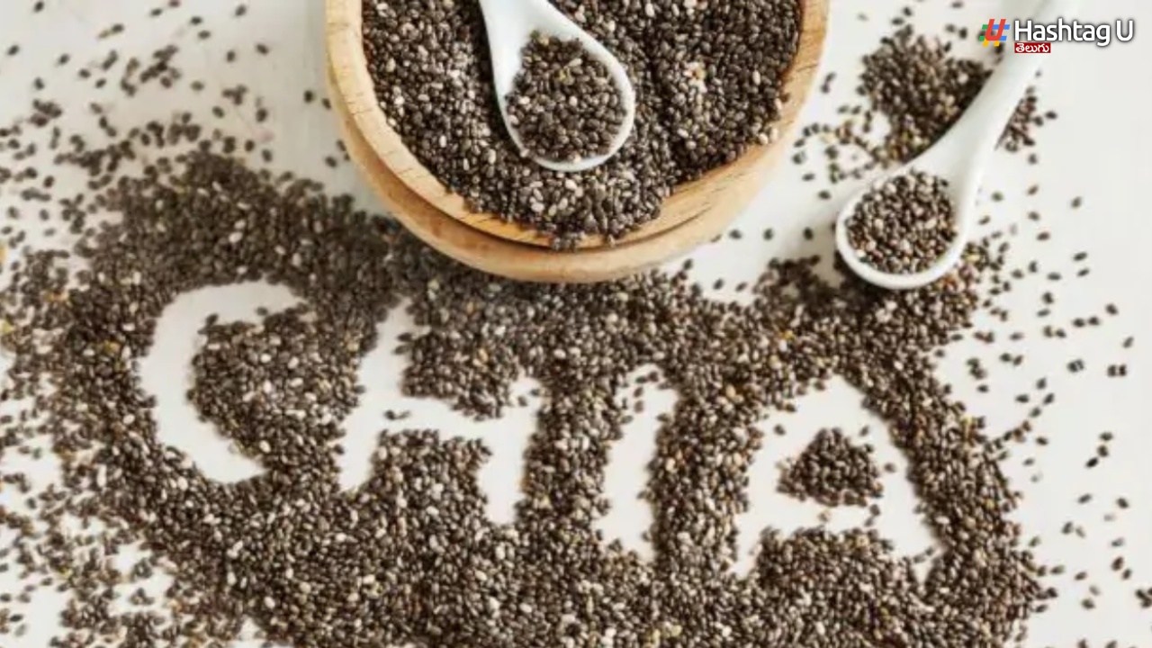 Why Should We Need To Eat Chia Seeds In Summer 