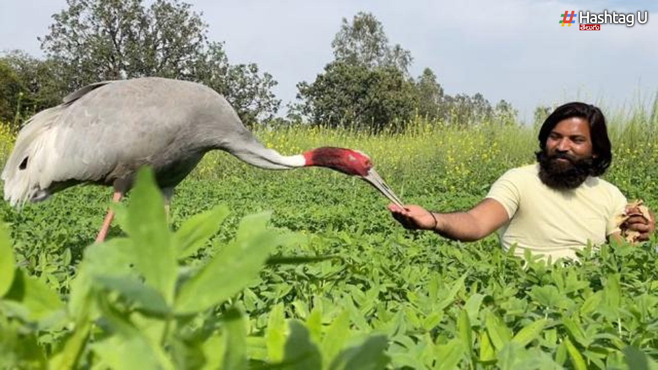 Arif.. Sarus.. An Attachment That Has Become A Hot Topic