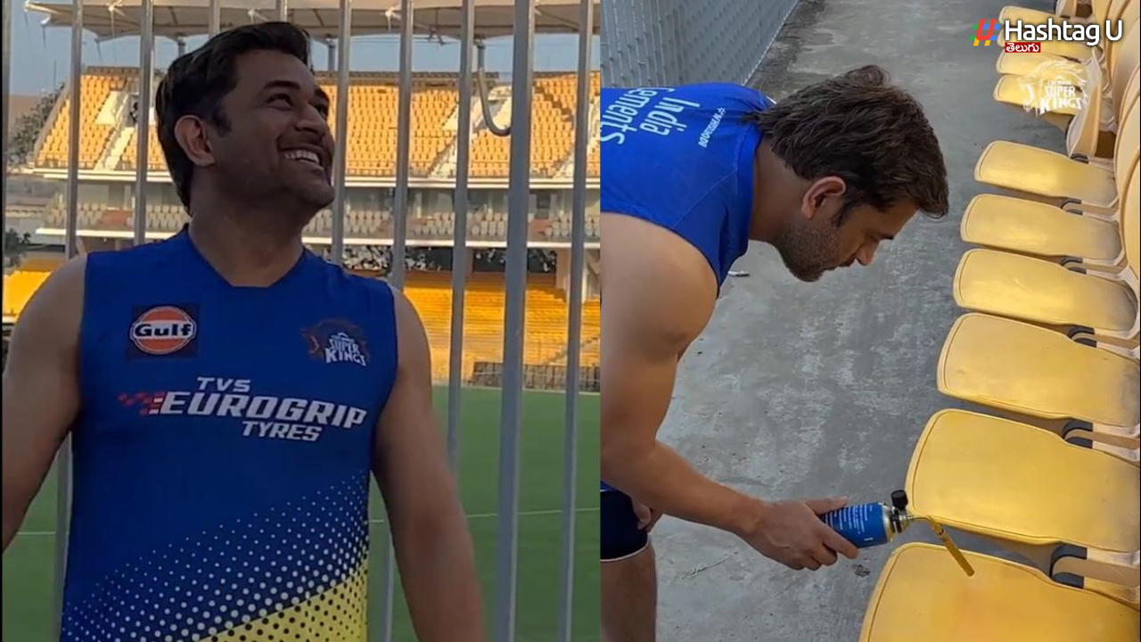Dhoni Painted The Seats In Chepak Stadium Yellow.. Video Viral