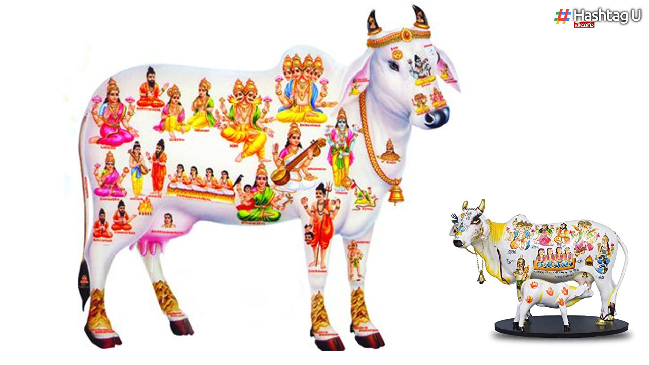 Do You Know About Medicine In Astrology..!