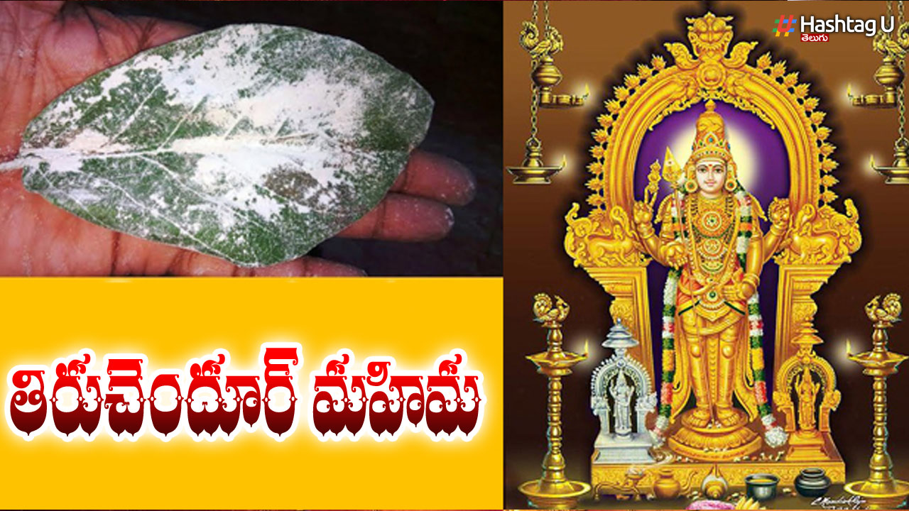 Tiruchendur Vibhuti