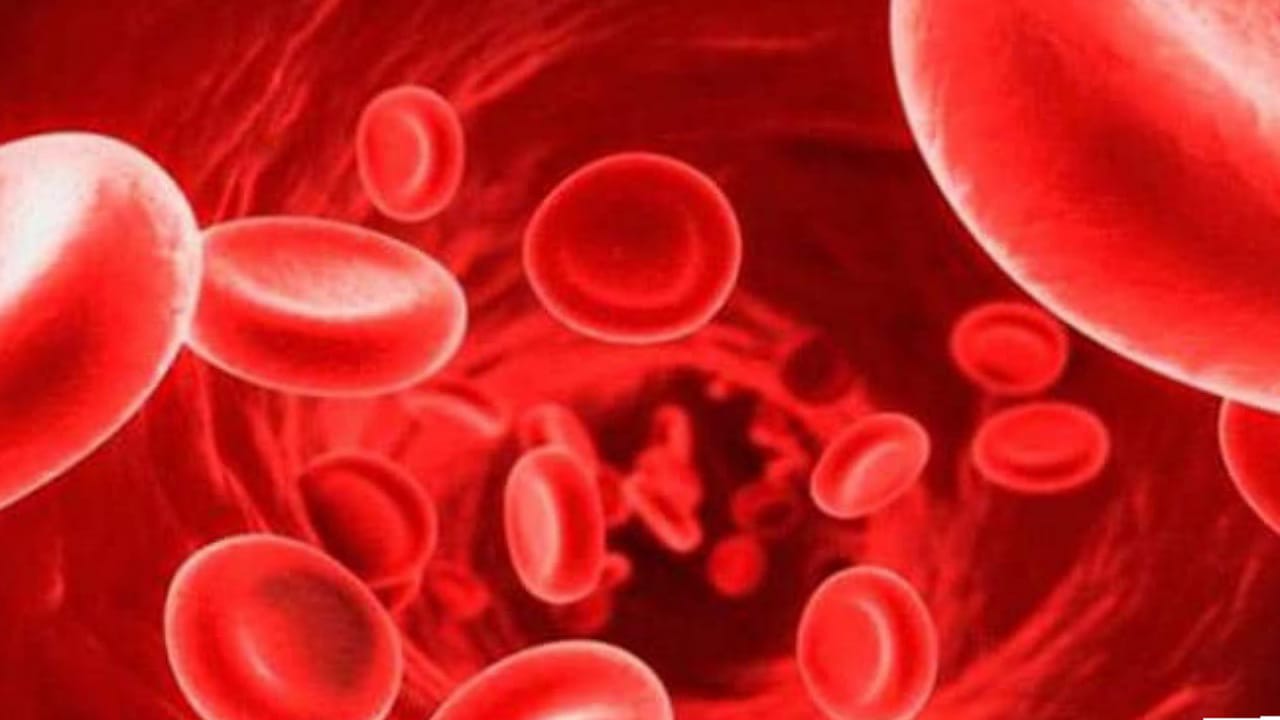 Hemoglobin Increase