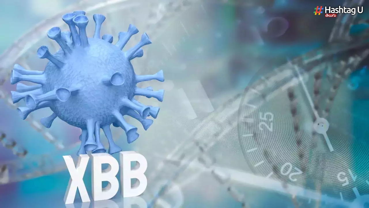 XBB 1.16