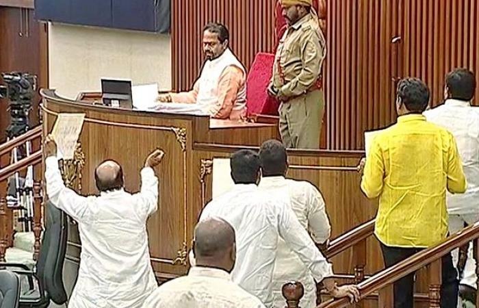 Mlas Fight