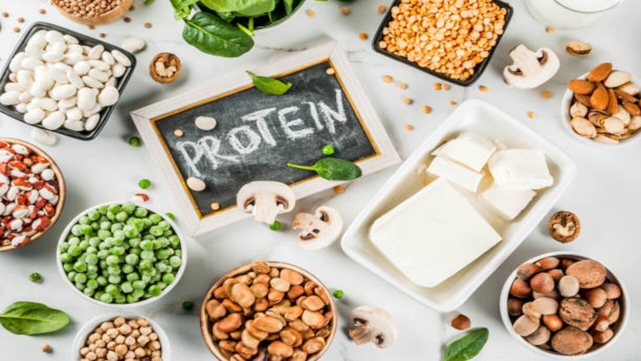 Protien