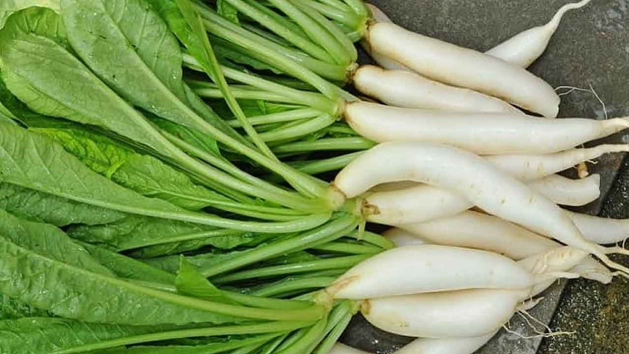 Radish