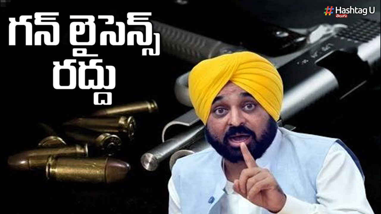 Who Is Given A Gun License.. What Does Indian Arms Act Say..
