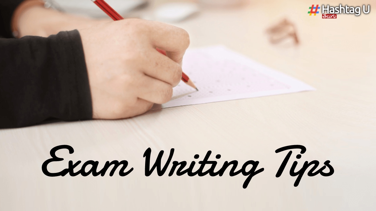 CTET Exam