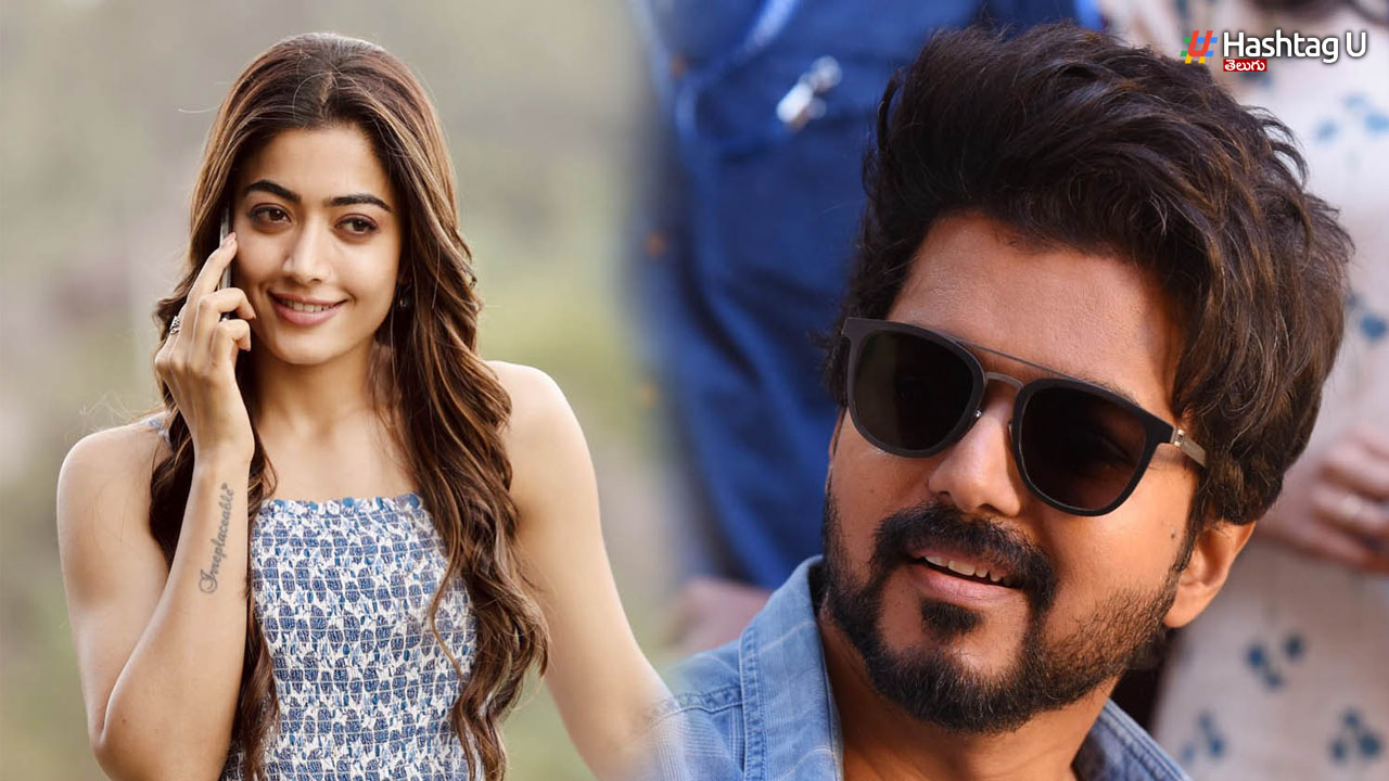 Rashmika And Thalapathy