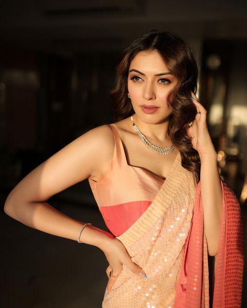 Hansika Motwani (9)