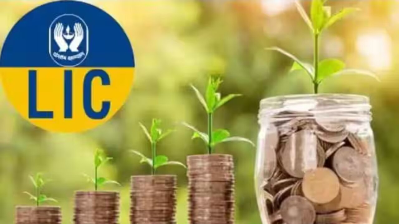 Lic Plan