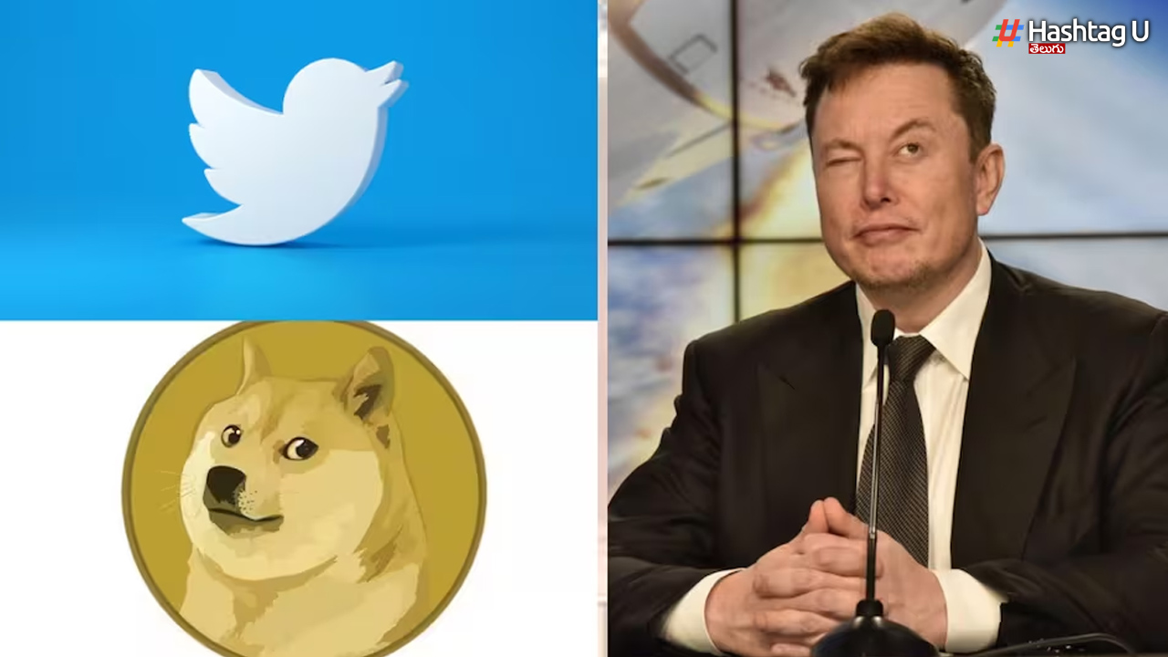 Twitter Logo Changed Again.. Elon Musk