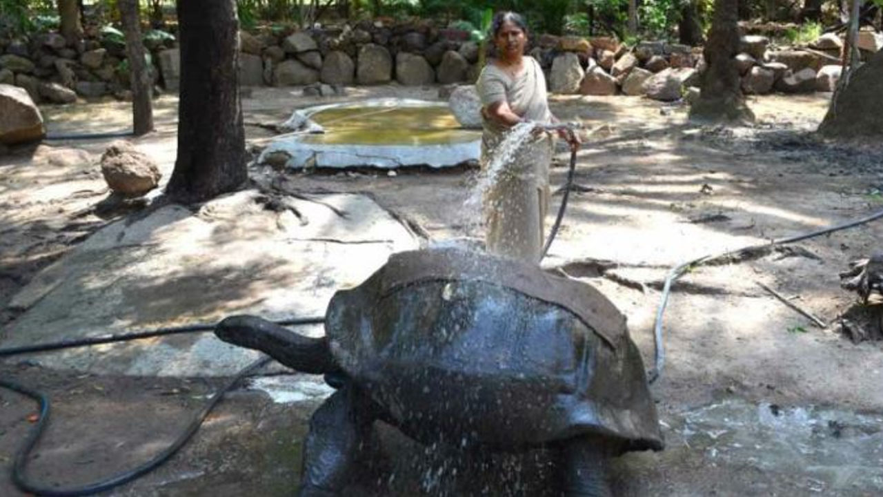 HYD zoo Park