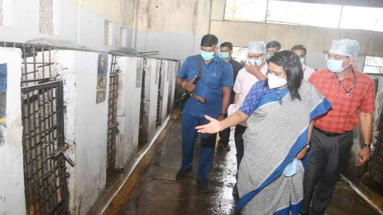 GHMC