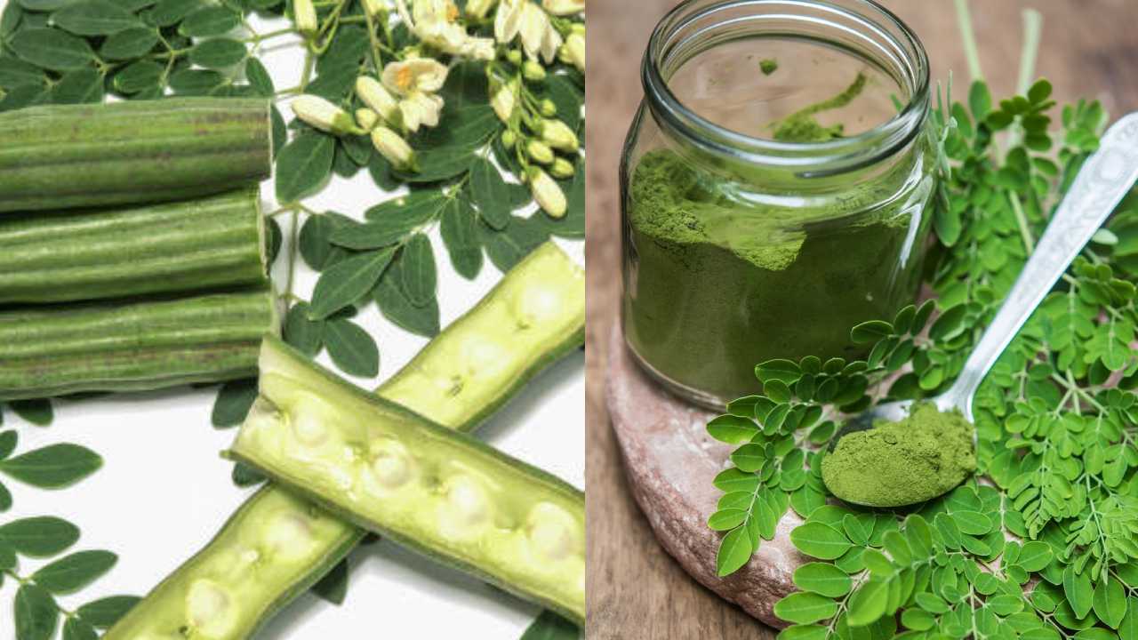 Munagaku Benefits must know and eat Regularly