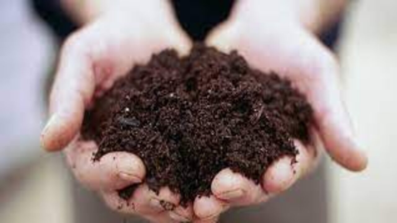Soil
