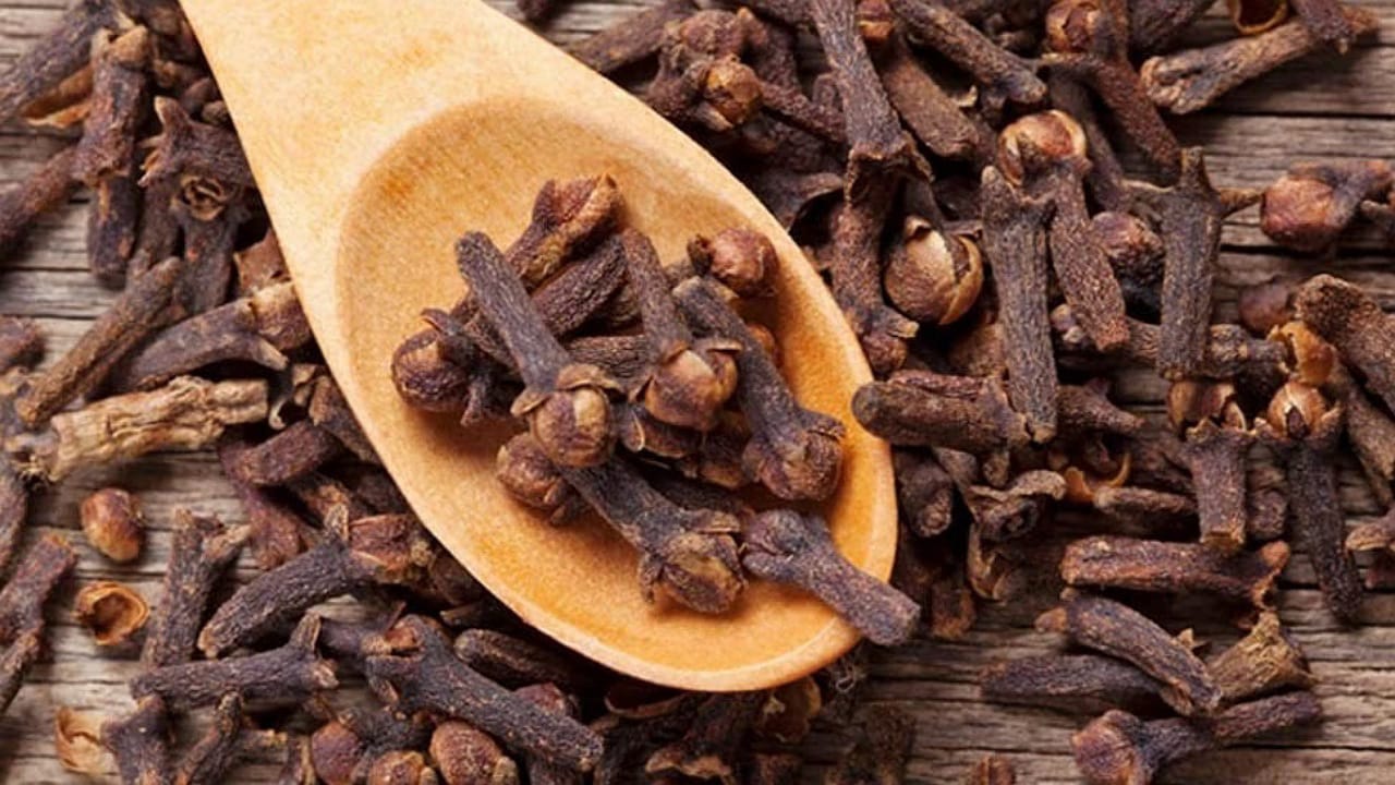 Clove