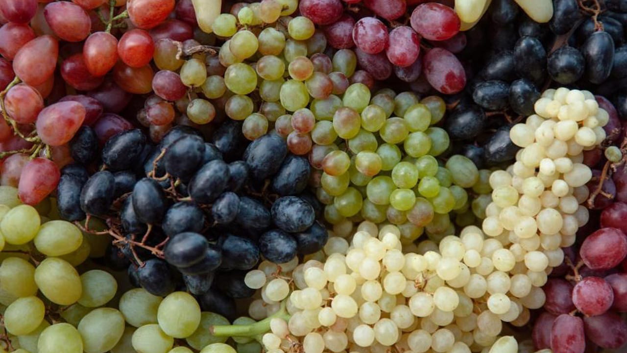 Grapes