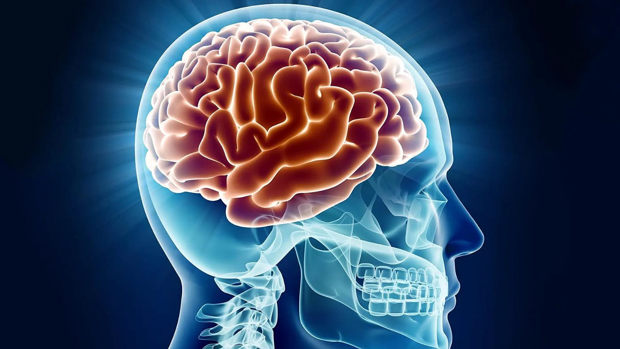 Brain Healthy