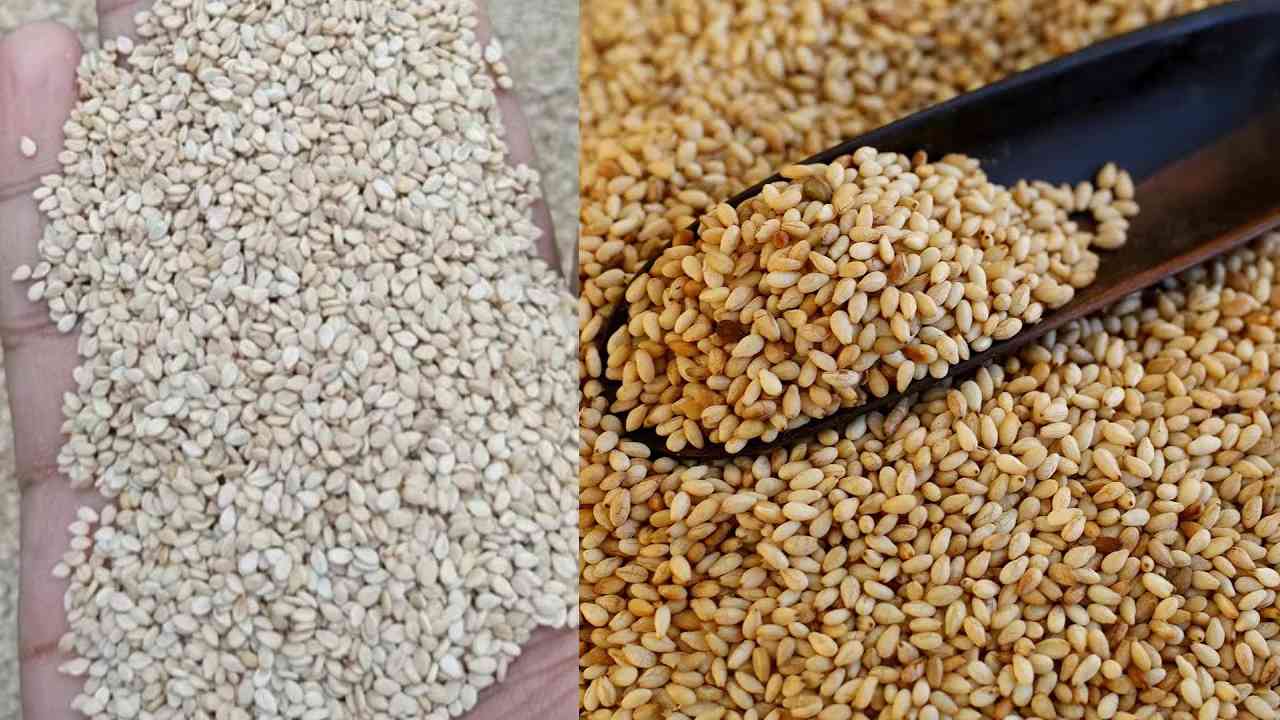 Healthy Seeds