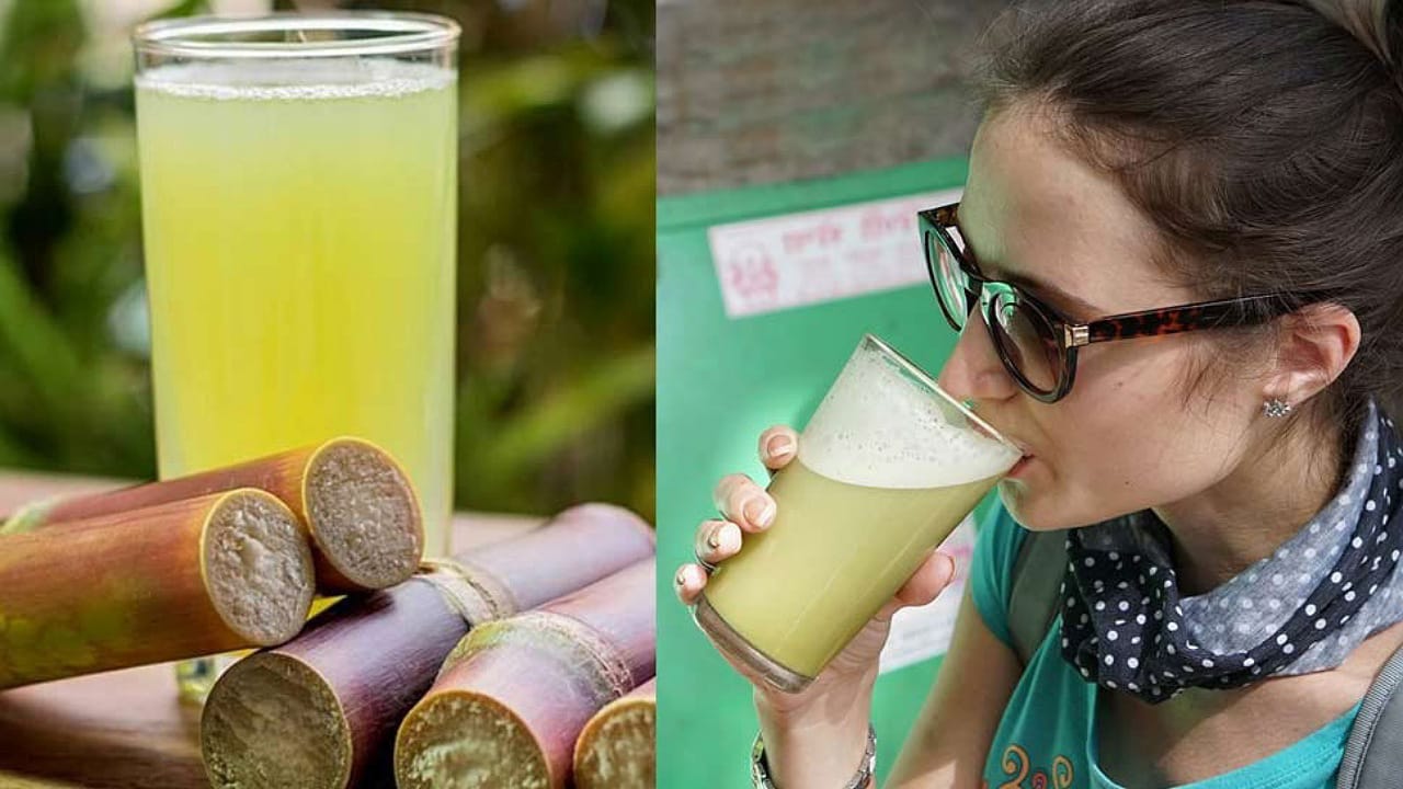 Sugarcane