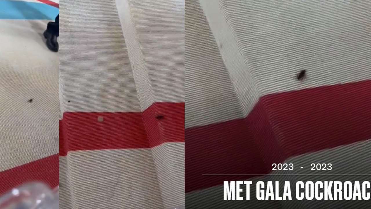 Cockroach in Met Gala 2023 Event