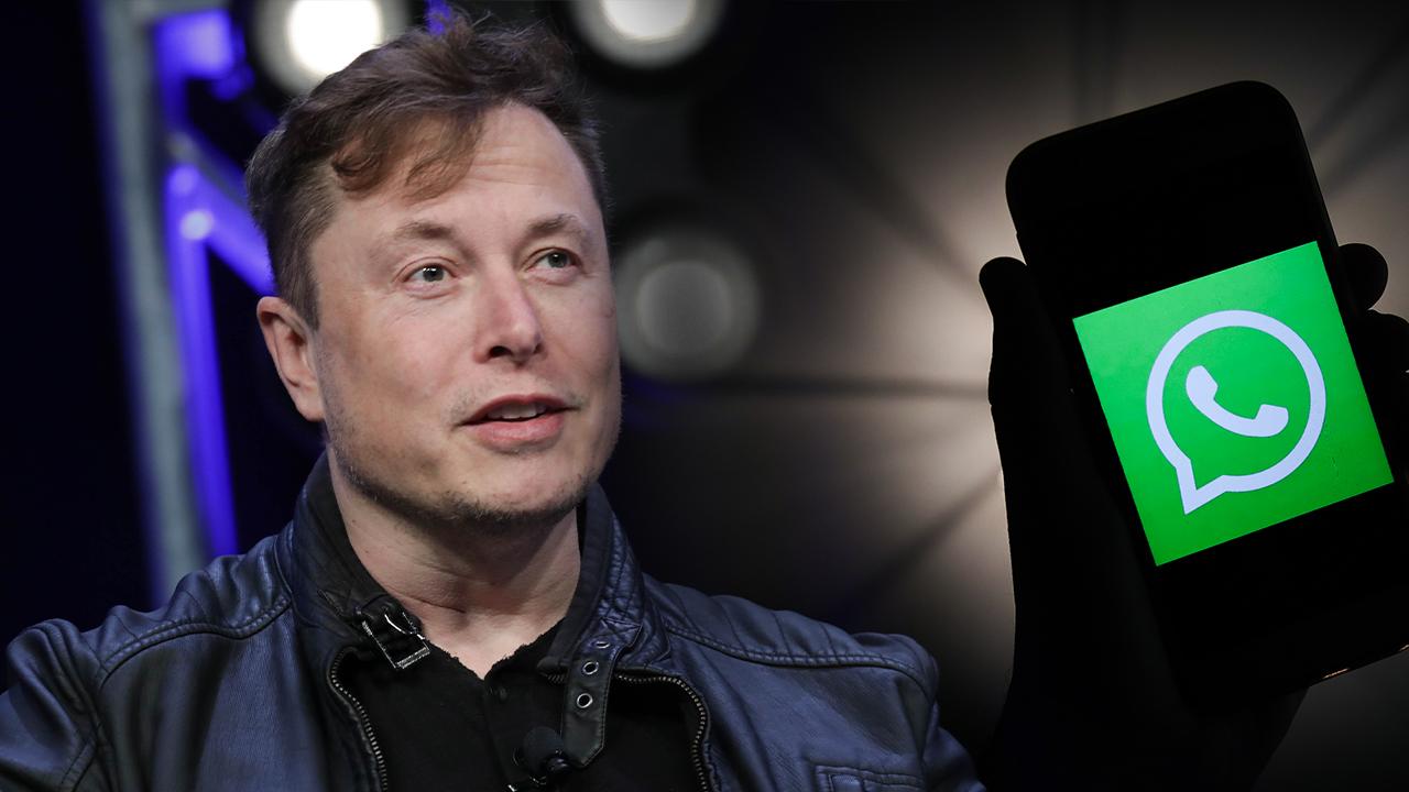 Elon Musk Whatsapp 2042604