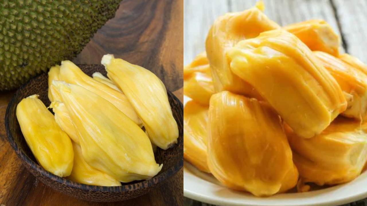 Benefits of Panasa Tonalu Jack Fruit