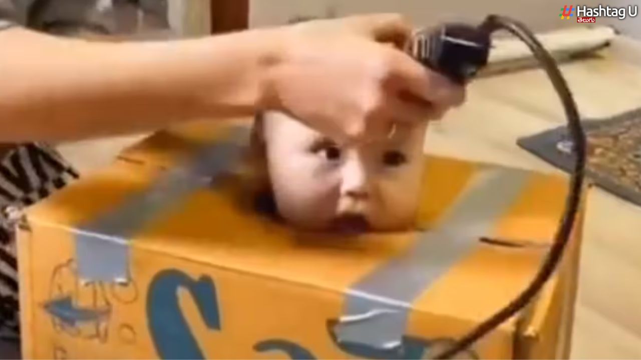 Creative Haircut