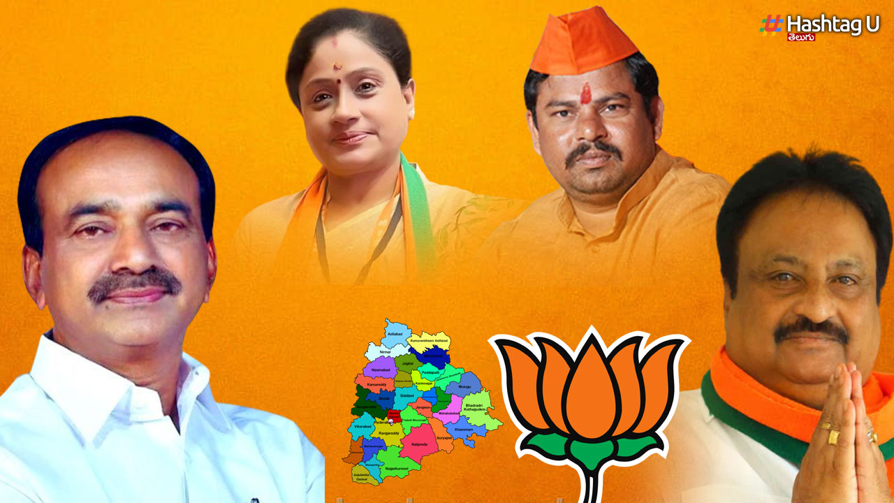 Differences In Bjp
