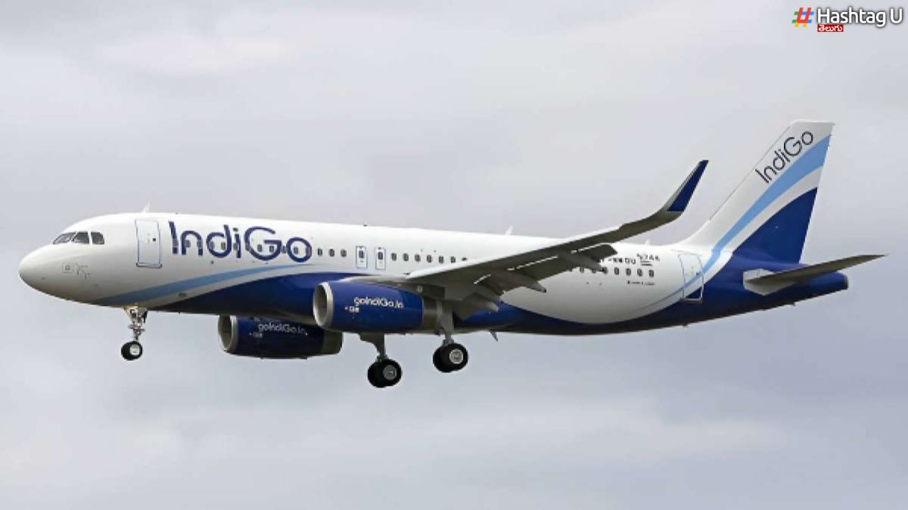Indigo Vs Air India