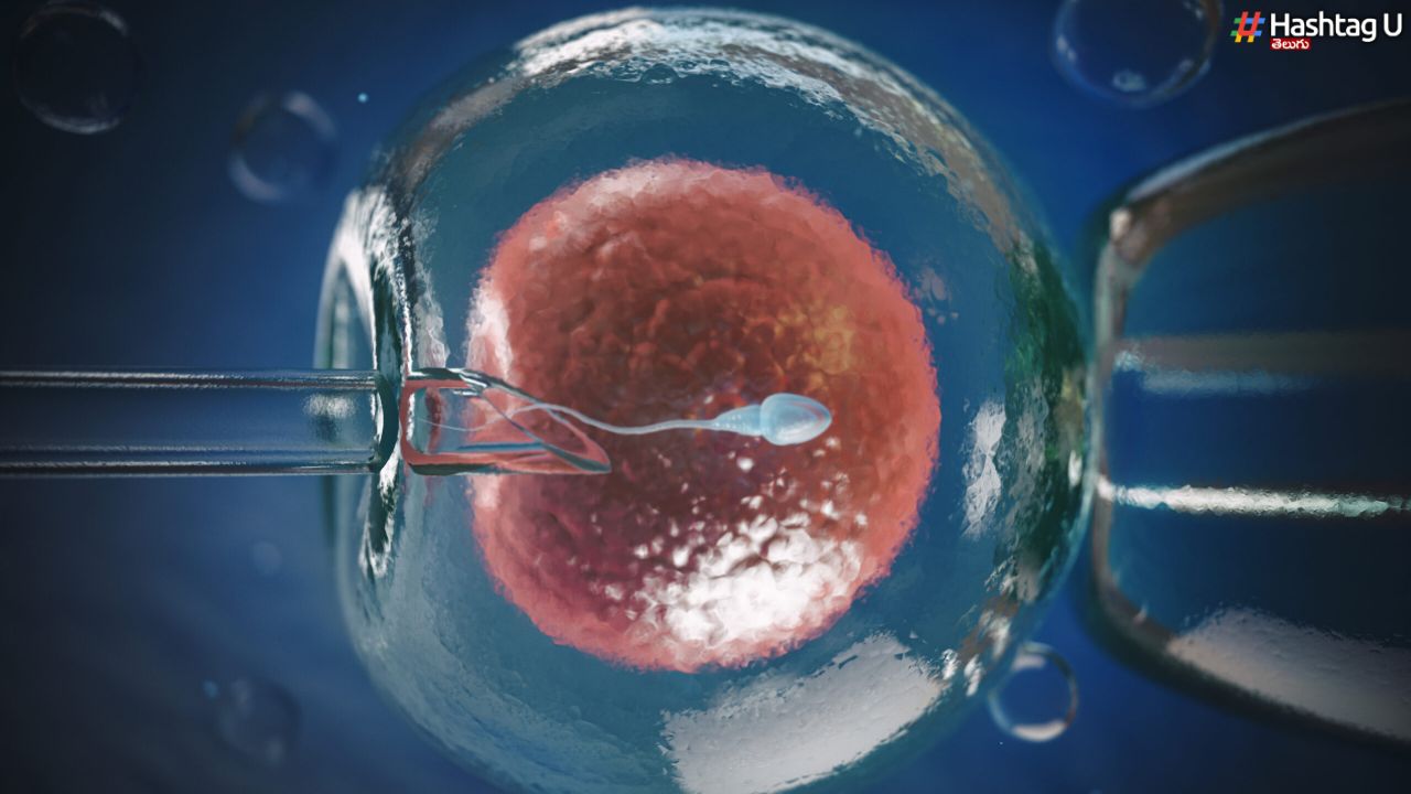 Ivf Clinic Cheat