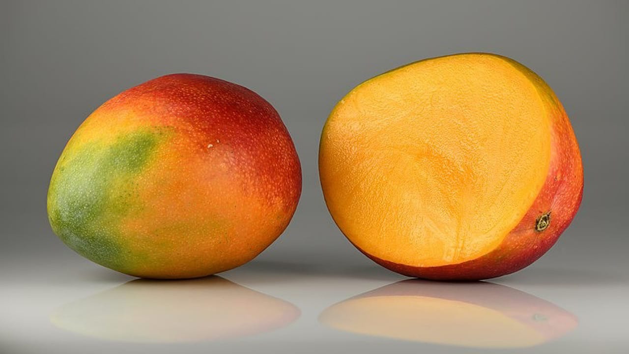 Alphonso Mango
