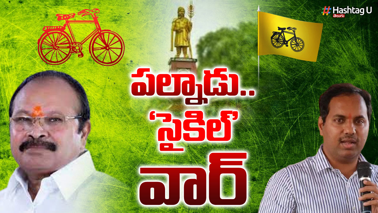 Palnadu Fight