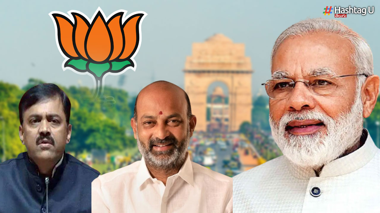 Postmortem Of Bjp