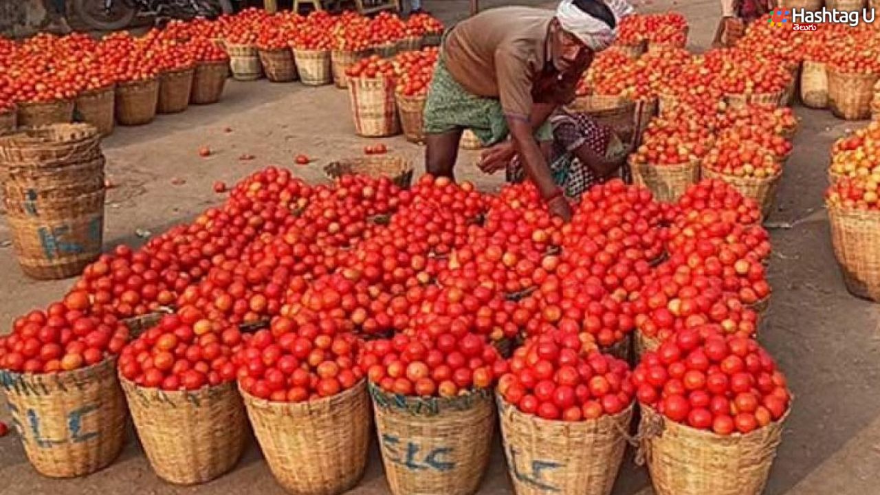 Tomato Prices