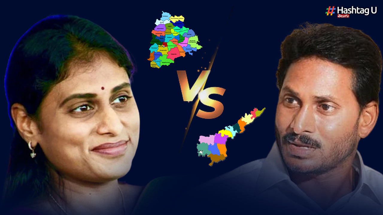 Ysr Family Twist