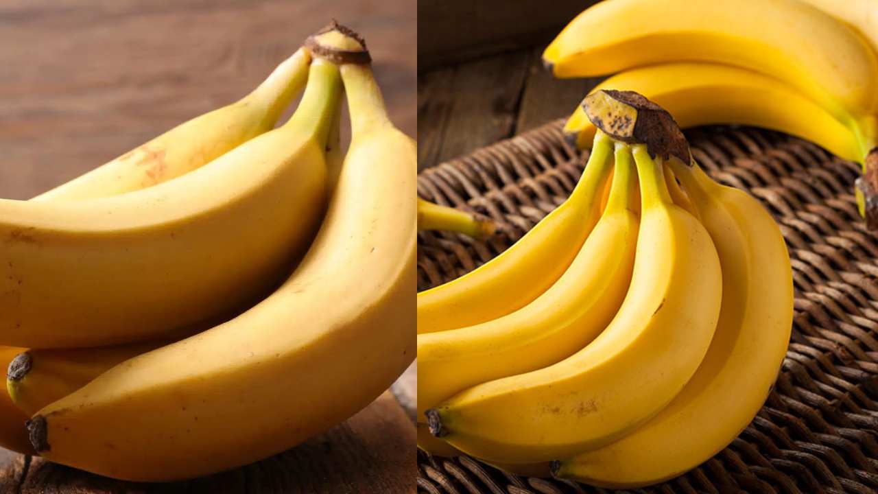 Bananas